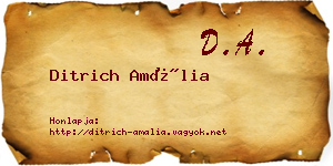 Ditrich Amália névjegykártya
